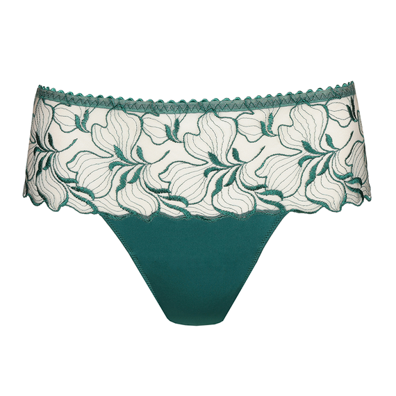 Springdale Luxe String