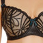 Freya Starlet BeugelBH Black