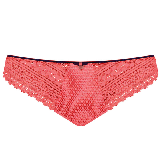 Daisy Lace Brazilian String