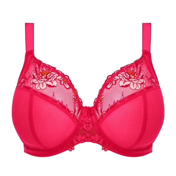 Teagan Plunge BH