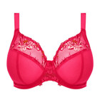 Teagan Plunge BH
