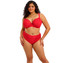Elomi Tiernie String Red