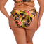 Elomi Badmode Tiger Valley Bikinibroekje Black