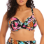 Elomi Swim Tropical Falls Plunge Bikinitop Black