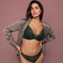 Wacoal Lace Perfection Push-up BH Botanical Green
