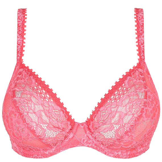 Wild Rose Plunge BH
