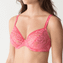 PrimaDonna Twist Wild Rose Plunge BH Tagada