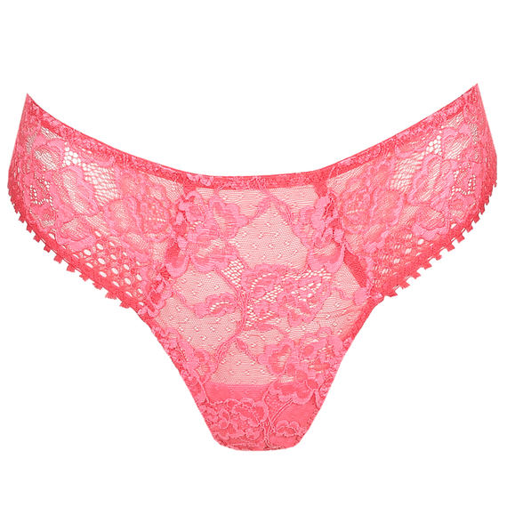 Wild Rose String