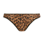 Freya Wild Side Brazillian Slip Leopard