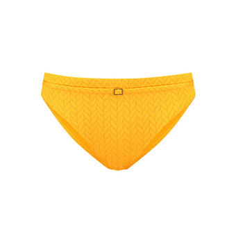 Zinnia Bikini Hose