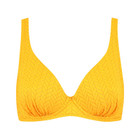 Zinnia Plunge Bikinitop