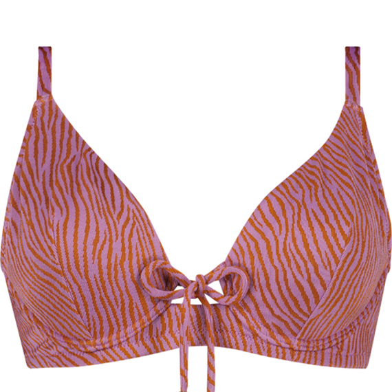 Zumba Zebra Plunge Bikinitop