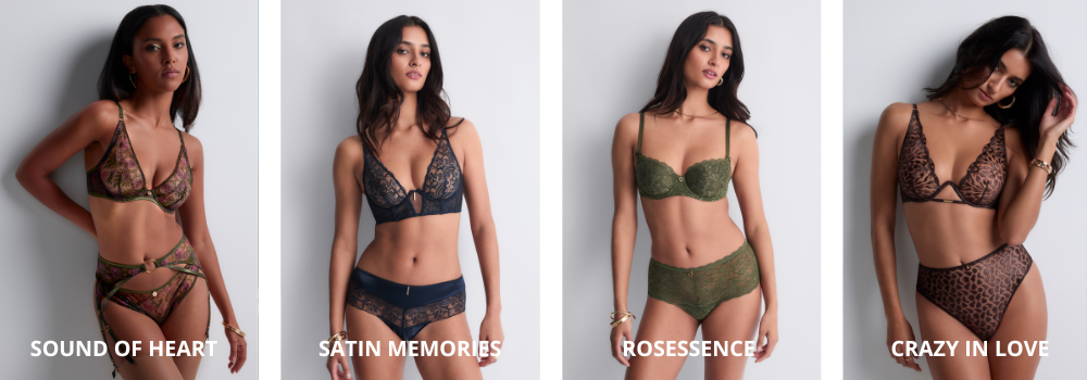 Afbeelding beschrijving